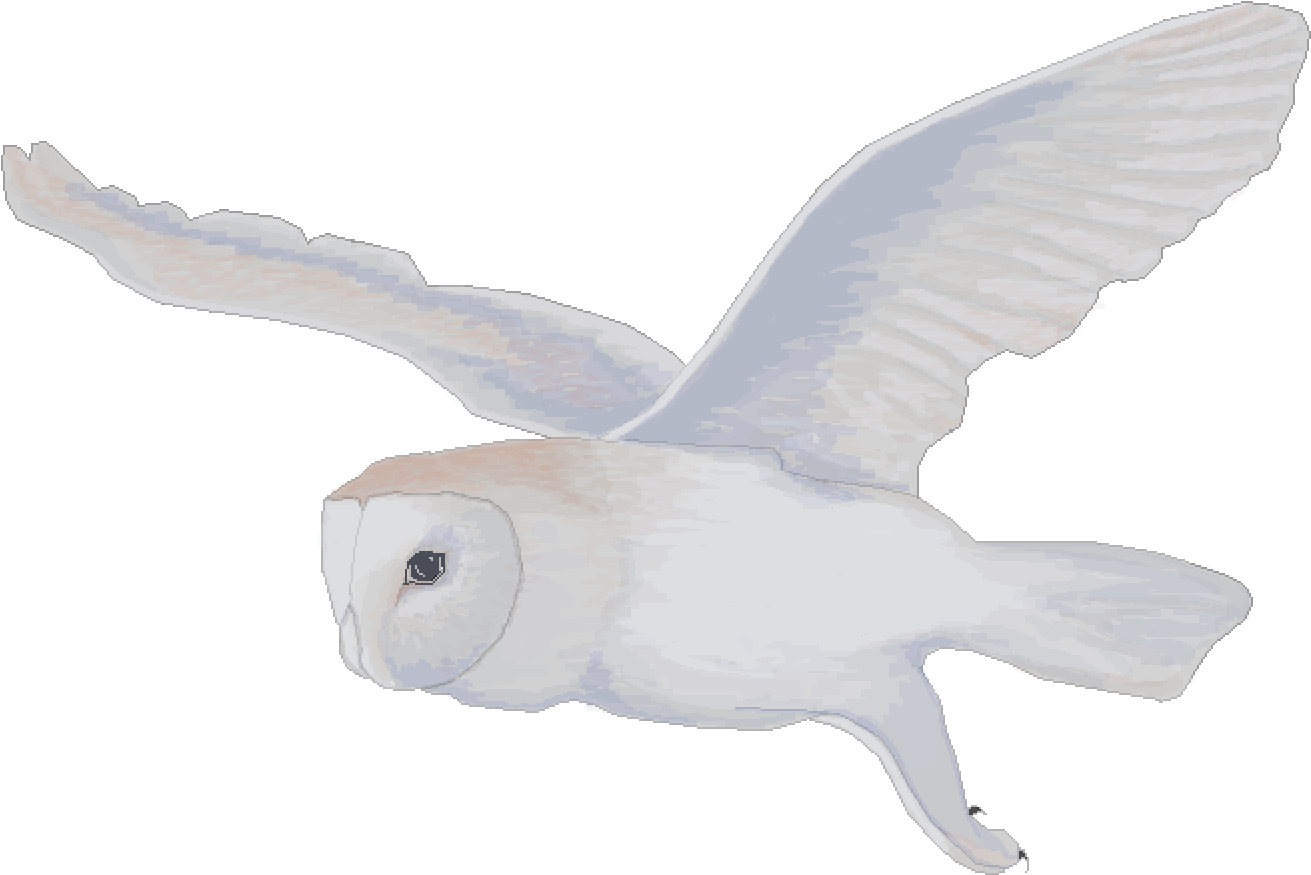 New Profile Picture - Buzzard (1400x1000), Png Download