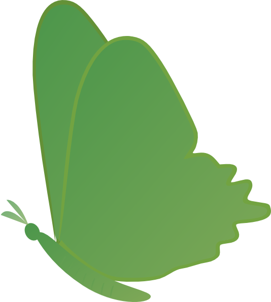 Butterfly Png (534x596), Png Download
