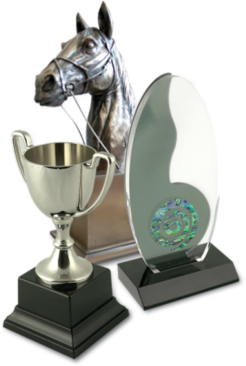 Enquire About Our Large Range Of Trophies - Trophy (600x774), Png Download