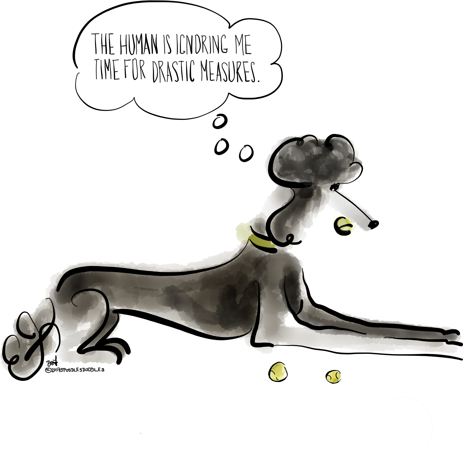 Poodles - Longdog (2732x2048), Png Download