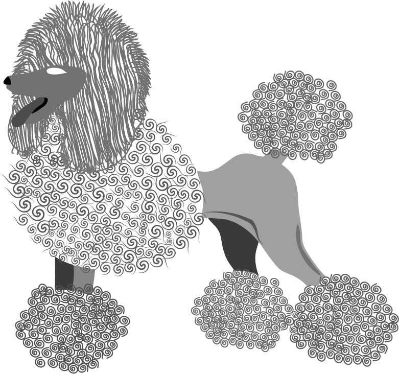 This Png File Is About Vector , French Poodle , Breed - Poodle (781x732), Png Download