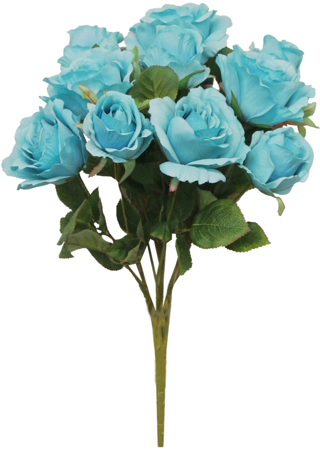 Garden Roses (650x913), Png Download