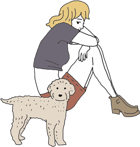 Miniature Poodle Dream Meaning - Dog Catches Something (600x600), Png Download