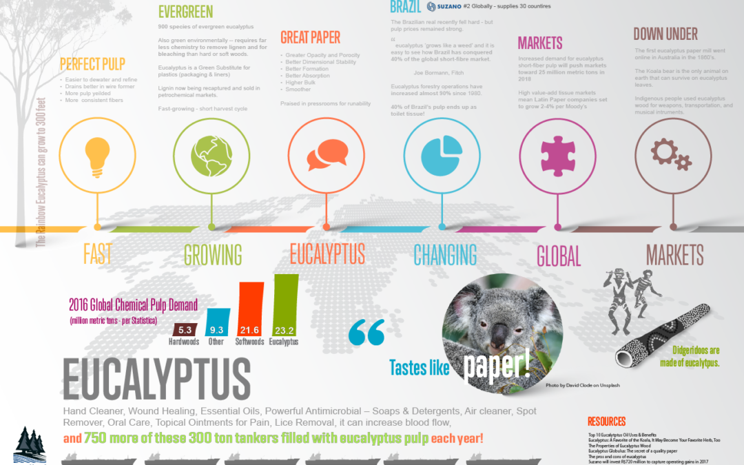 The Market Leader - Timeline Layout (1080x675), Png Download
