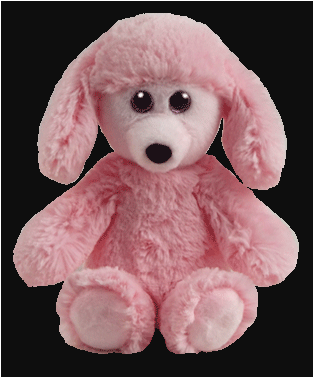 Toy Poodle (700x700), Png Download