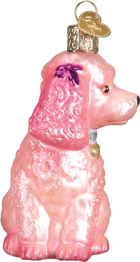 Side View - Companion Dog (1000x1000), Png Download