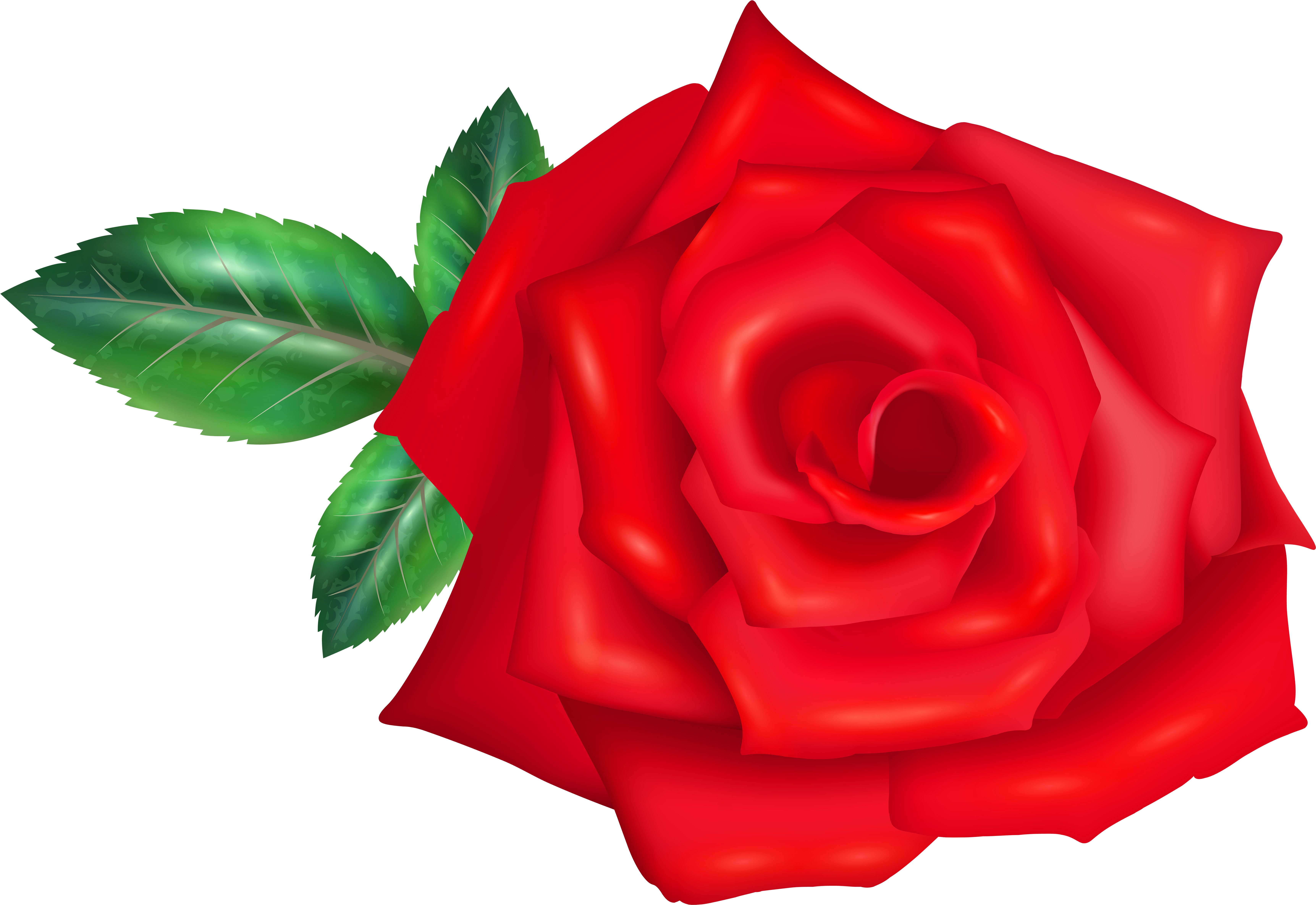 Floribunda (7000x4850), Png Download