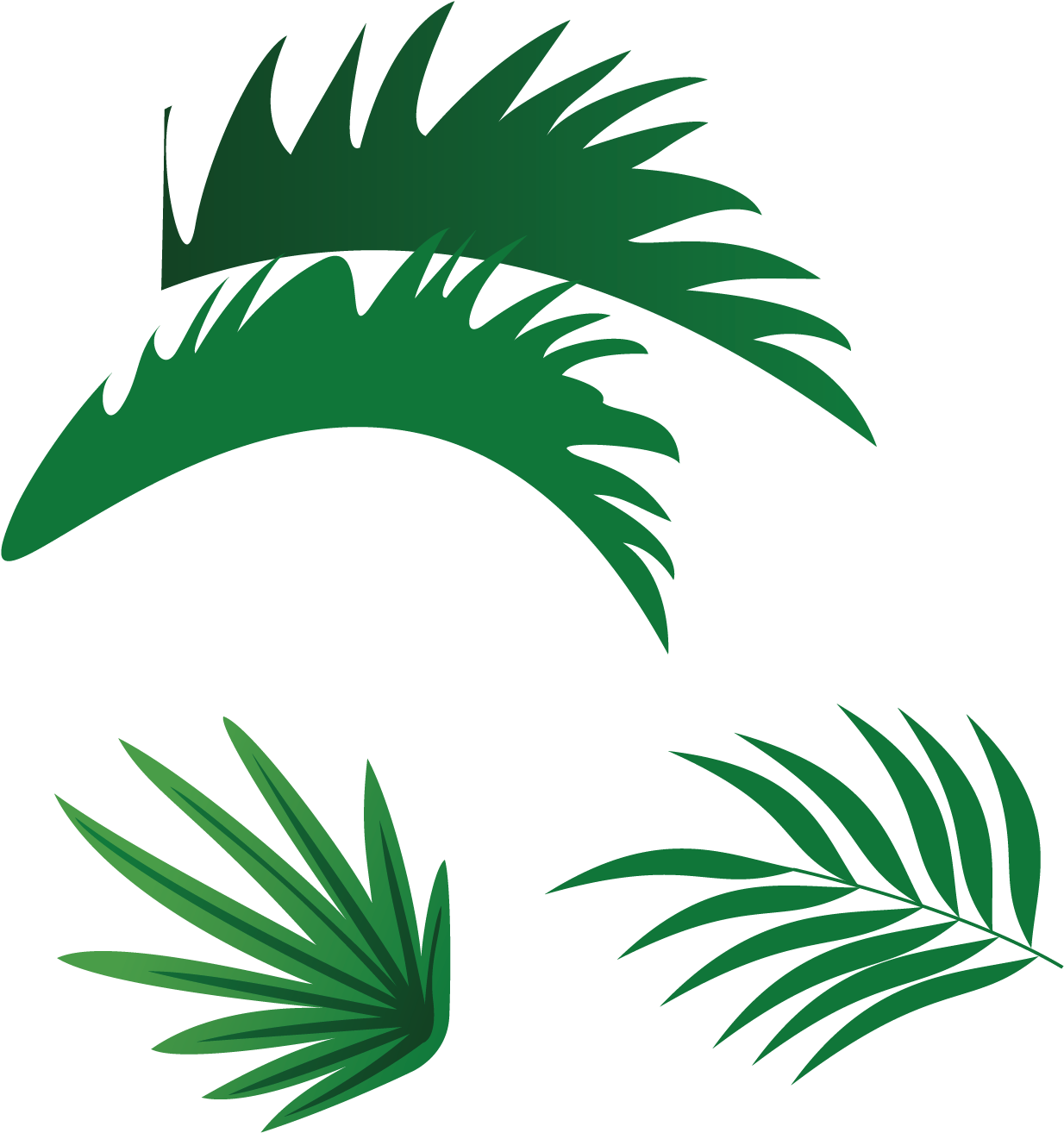 download-1500-x-1500-6-png-image-with-no-background-pngkey
