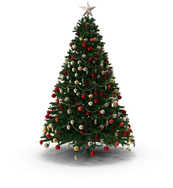 Christmas Tree (768x768), Png Download
