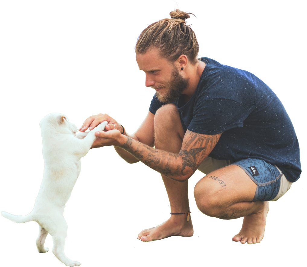 Would You Like To Join Sidelick's Network Of Pet Sitters - Man Playing With Dog (1024x910), Png Download
