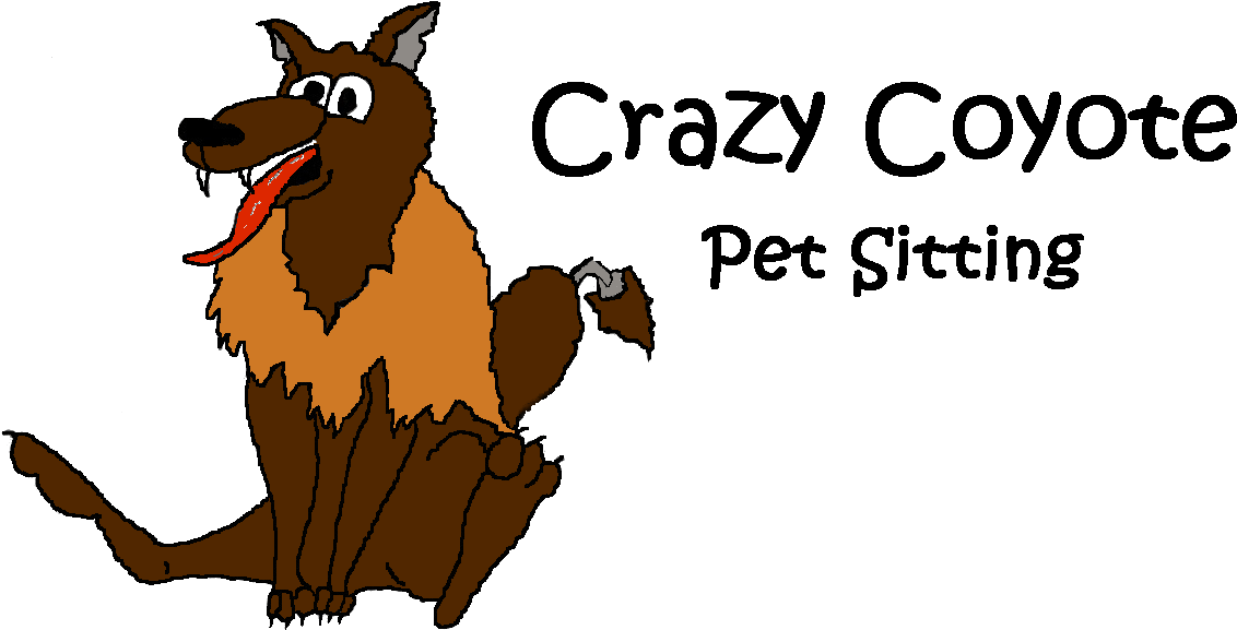 Crazy Coyote Web Logo 2 1 - Daycare (1162x588), Png Download