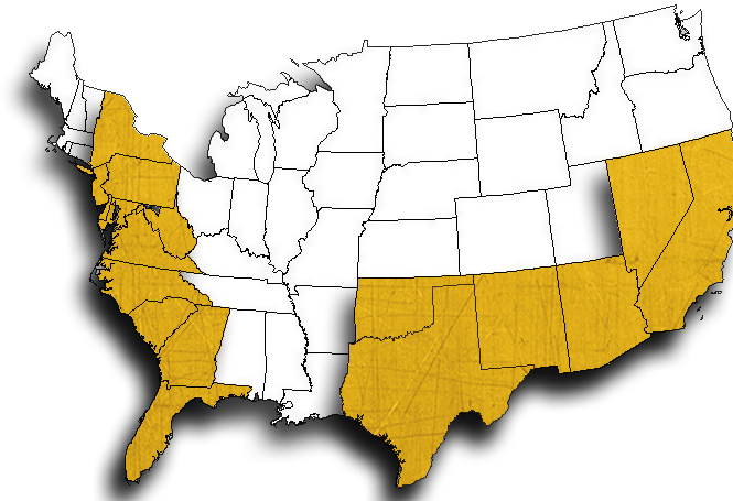 Click Here To See More Information About Black Widow - Atlas (666x509), Png Download