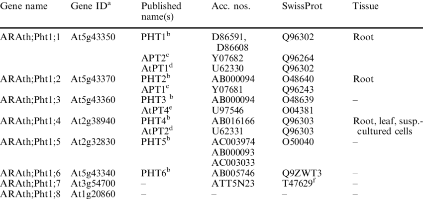 List Of Members Of Arabidopsis Thaliana Pi Trans- Porter/translocator - Number (850x401), Png Download