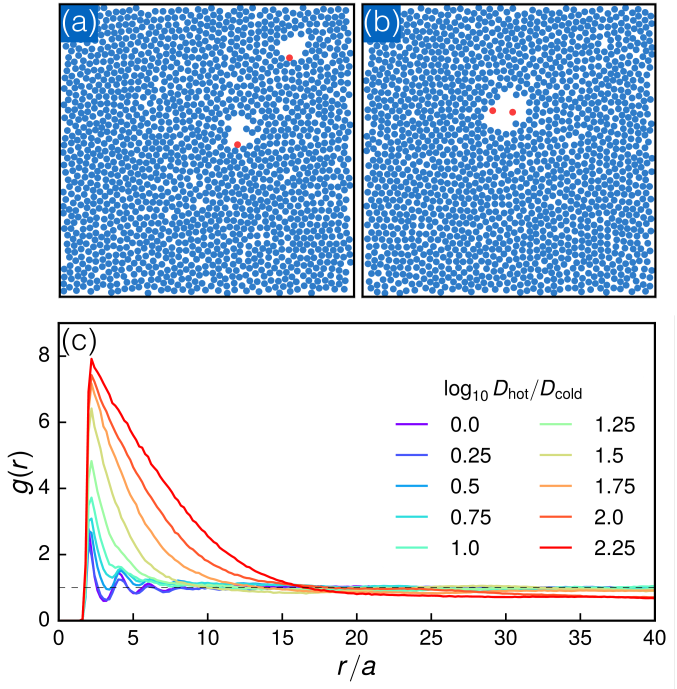 Snapshots From A Simulation With Log10dhot/dcold=2 - Diagram (677x689), Png Download