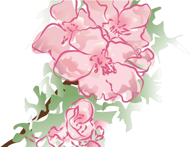 Petal Clipart Watercolor Rose - Pink Watercolor Flower Png (640x480), Png Download