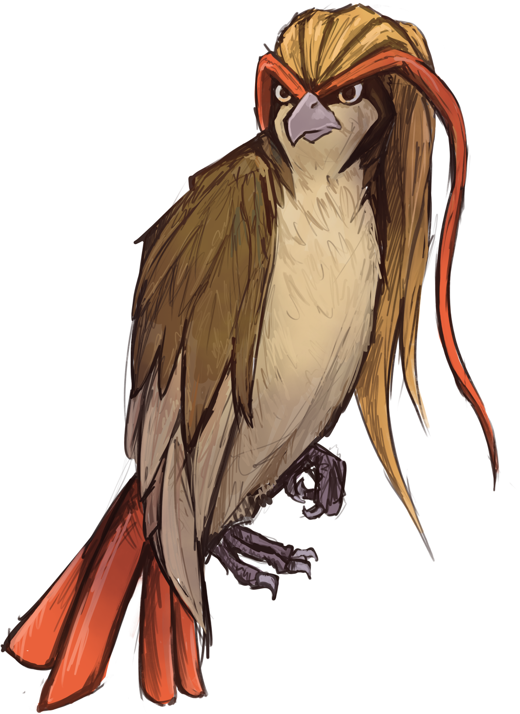 Pidgeot - Cockatiel (1746x2375), Png Download