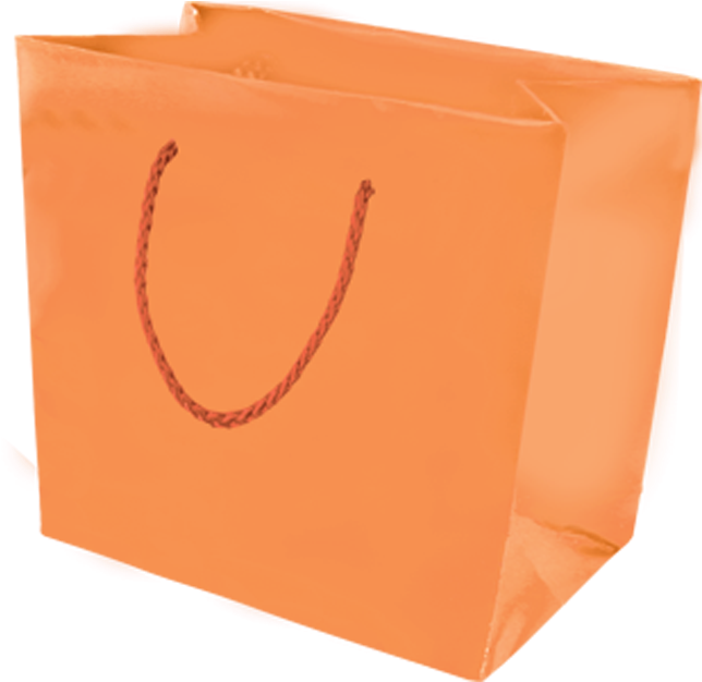 Picture Of Galleria Gift Bag - Orange Gift Bag Png (664x625), Png Download