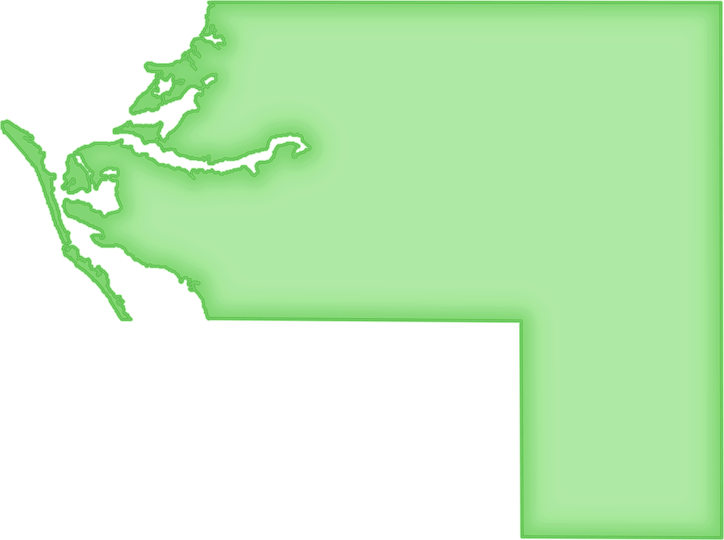 Manatee "abstract" Style - Illustration (1024x764), Png Download