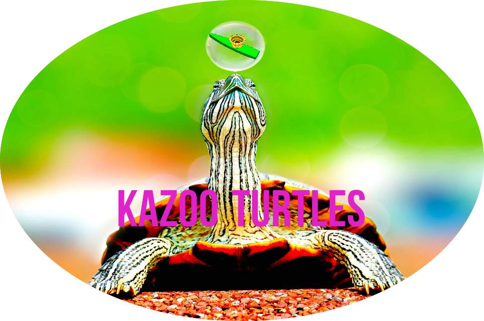 Screen Shot 2017 04 09 At - Turtle (963x638), Png Download