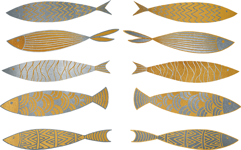 Wall Colour - Fish (800x497), Png Download