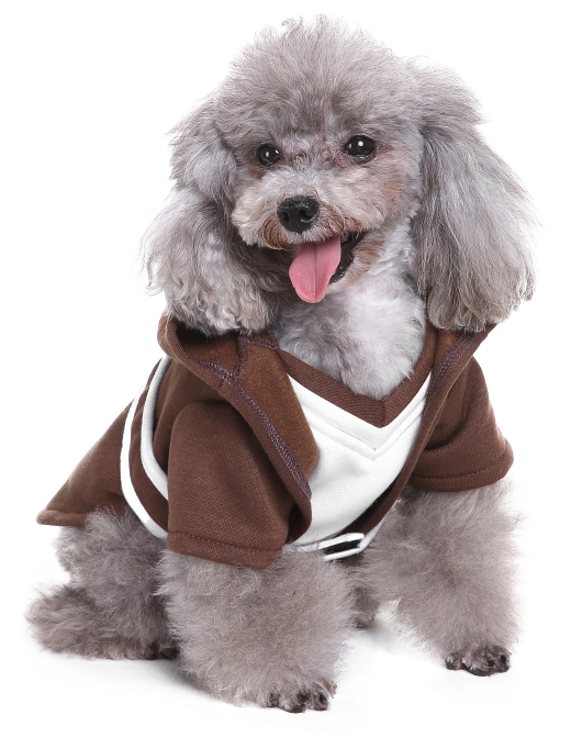 Costume (750x750), Png Download