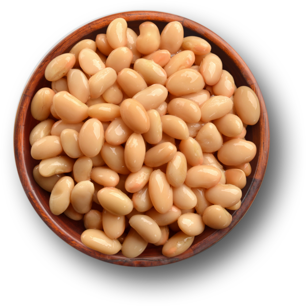Great Northern Beans Green - Great Northern Beans (1133x1200), Png Download