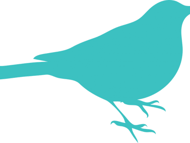 Seagull Silhouette Cliparts - Birds Silhouette Green (640x480), Png Download