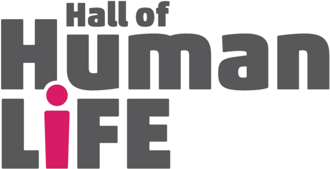 Logo For A Large Permanent Exhibition - Graphic Design (1000x552), Png Download