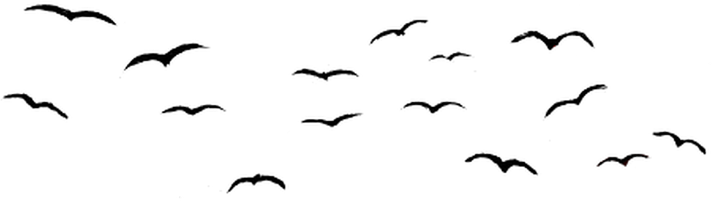 Report Abuse (1024x326), Png Download