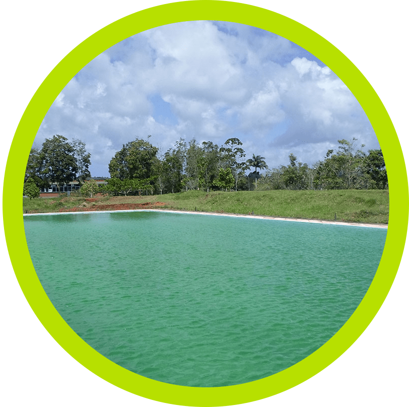 Piscina Verde Circle Border - Stredná Zdravotnícka Škola Nitra (812x807), Png Download