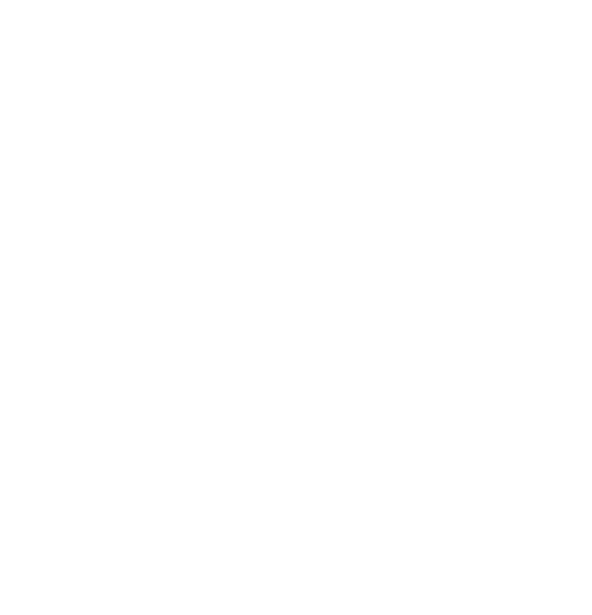 Free Download - Circle (850x883), Png Download