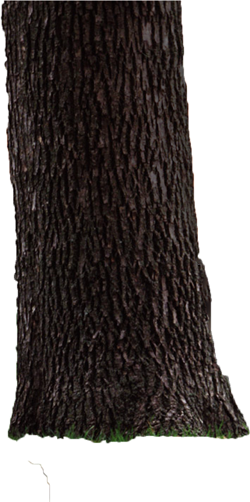 Try Watching This Video On Www - Scarf (1600x1017), Png Download