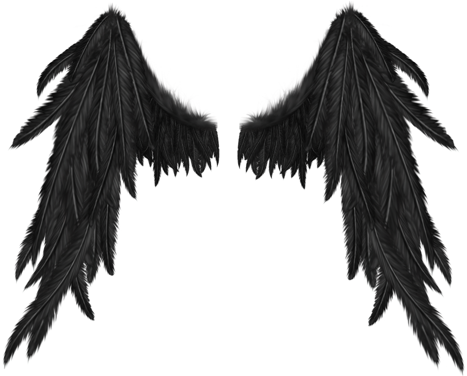 Demon Wings No Background (1024x1024), Png Download