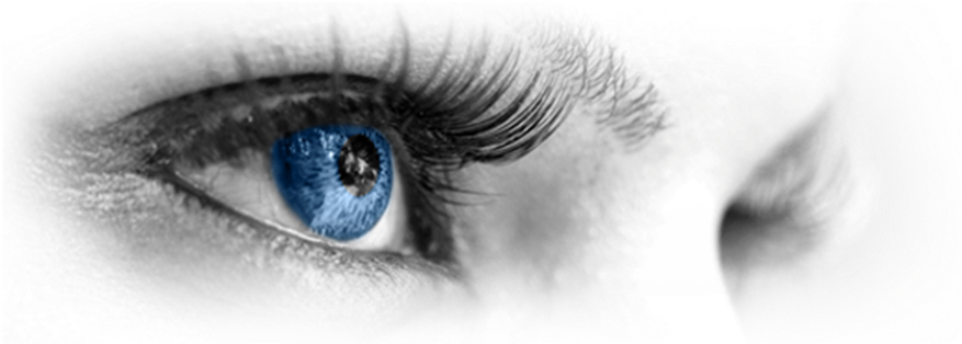 La Vision Imprenditoriale - Write: Write: How To Write, A Best Selling Book In (899x332), Png Download