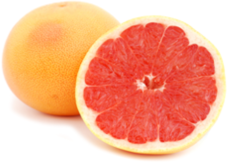 Passover (490x595), Png Download