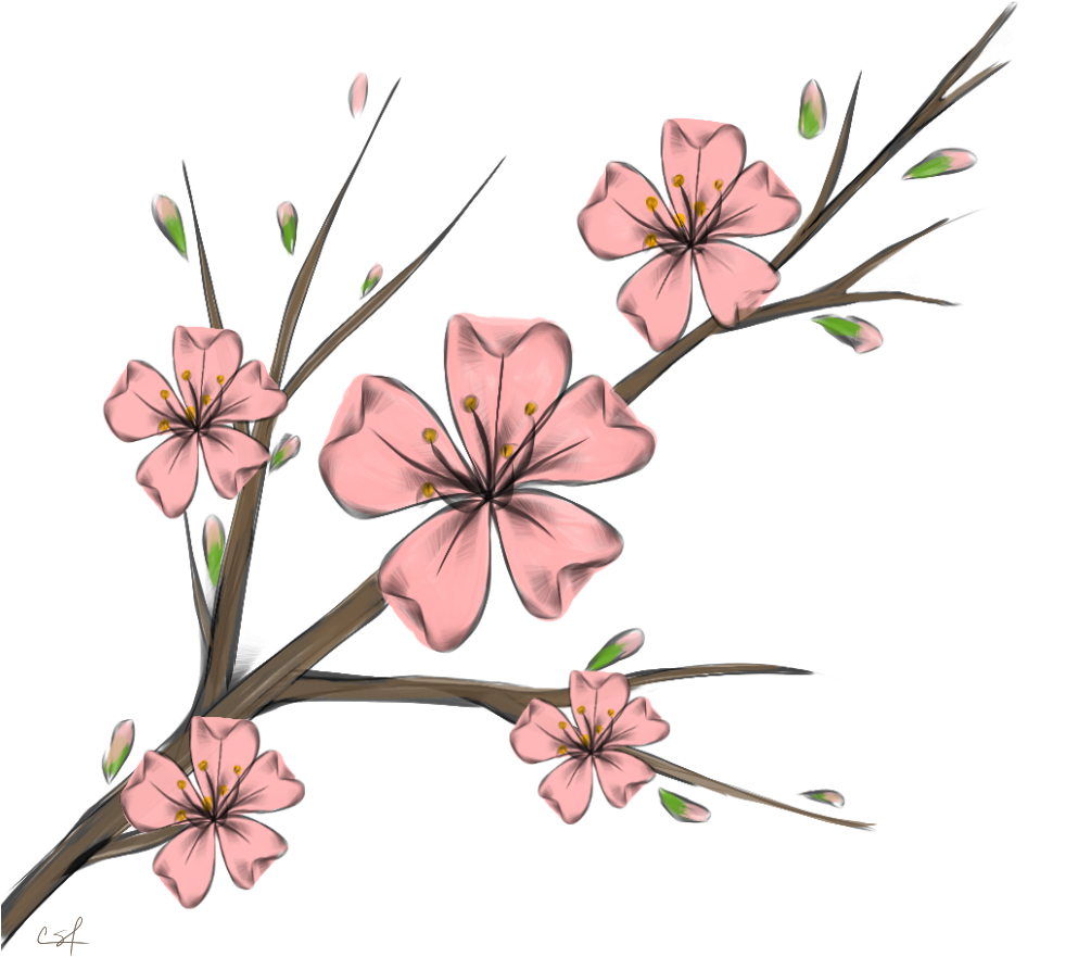 Cherry Blossom Flowers Branshes Freetoedit Banner Black - Flower (1024x1024), Png Download