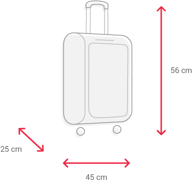 Medidas Equipaje De Mano - Baggage (435x387), Png Download