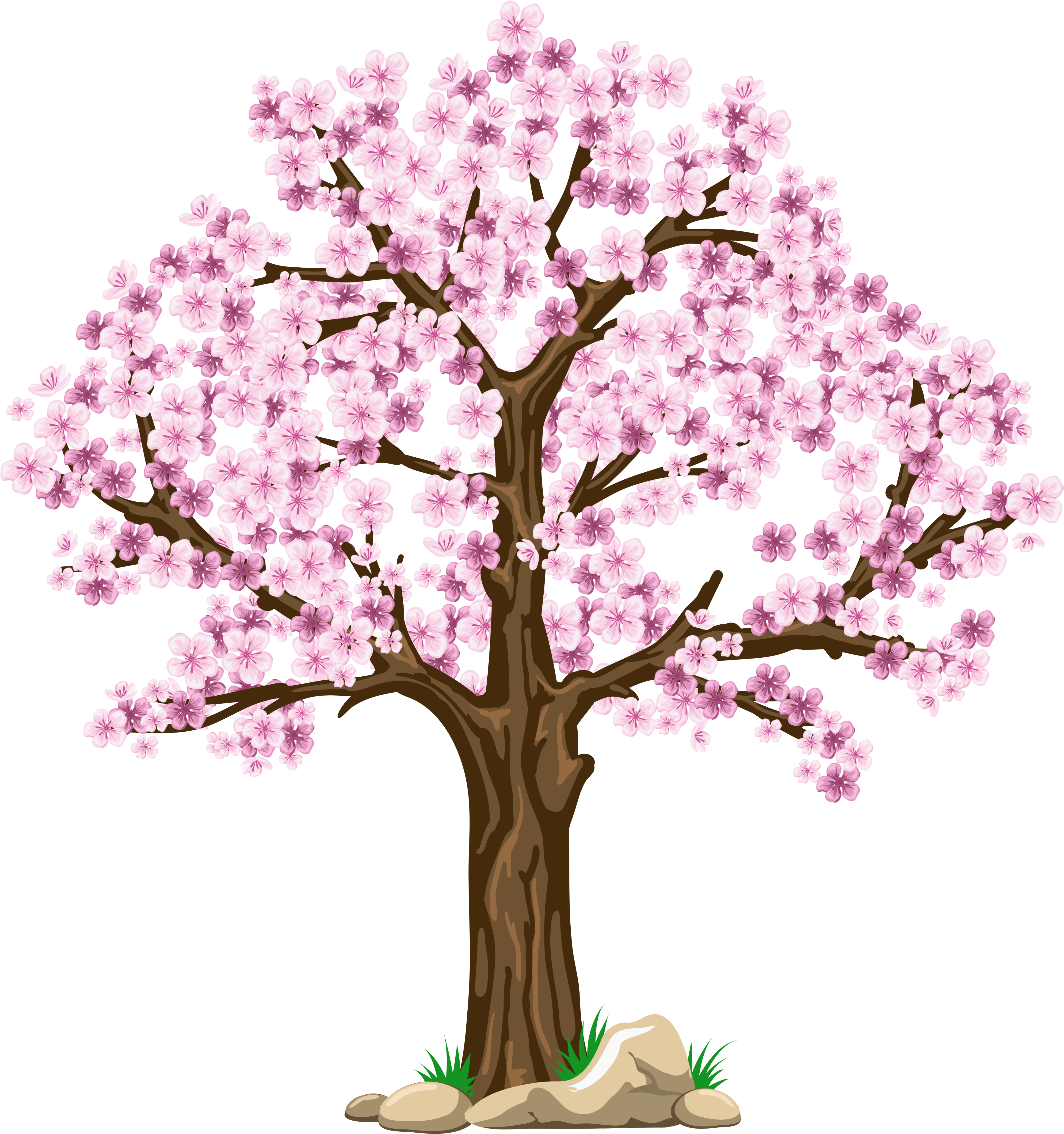 Images Cherry Blossom Clip Art Digital Pink Tree Clipart - Four Seasons Tree Clipart (4800x4992), Png Download