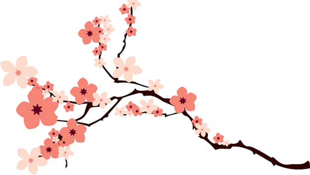 Sakura Tree Tumblr - Cherry Blossom Vector Png (626x353), Png Download