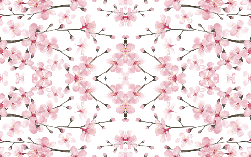 Cherry Blossom Watercolor // Cherry Blossom Floral - Cherry Blossom Watercolor By Magentarosedesigns - Customized (800x502), Png Download