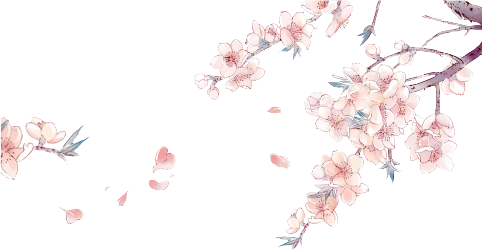 Drawn Cherry Blossom China - Cherry Blossom Flower Anime (951x500), Png Download