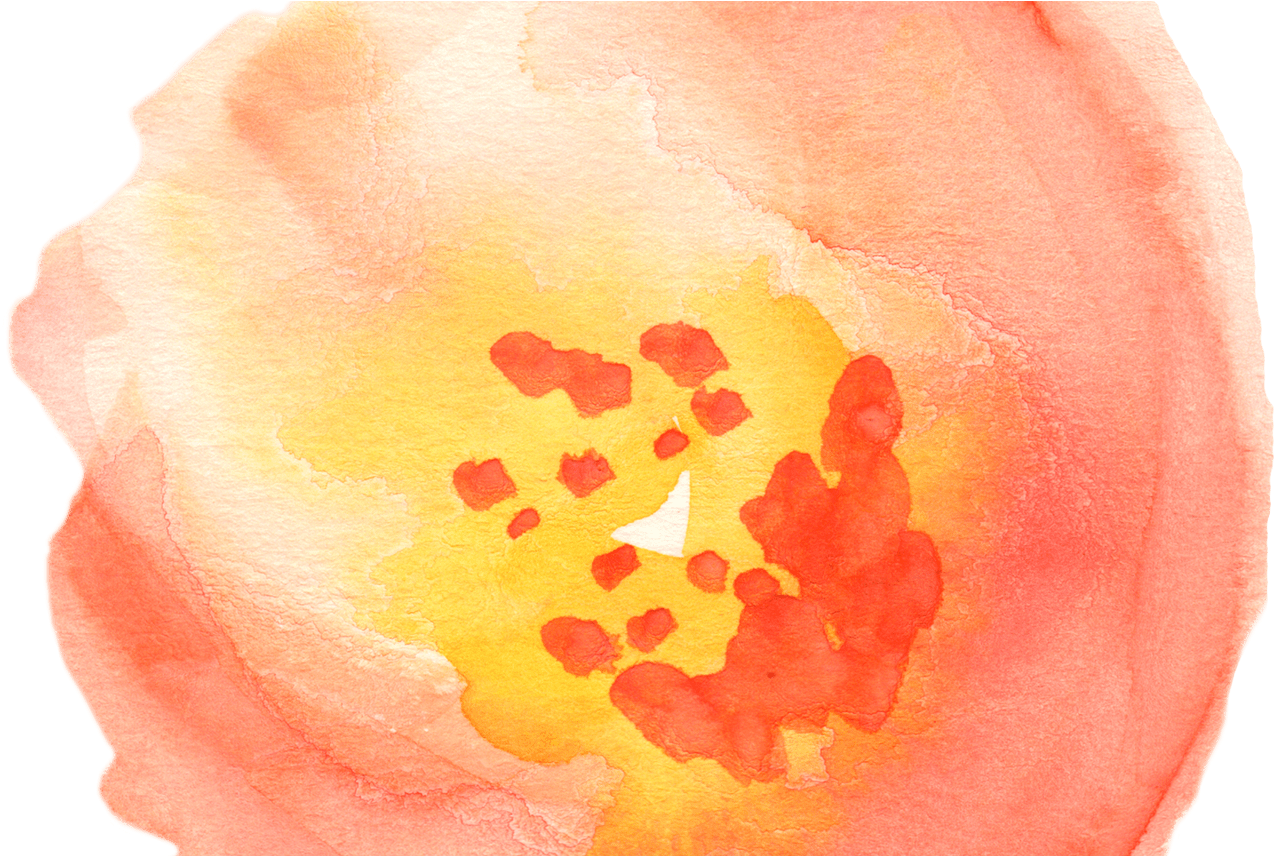 Free Fall Watercolor Floral Clip Art So Pretty Free - Watercolor Clipart Transparent (1368x855), Png Download