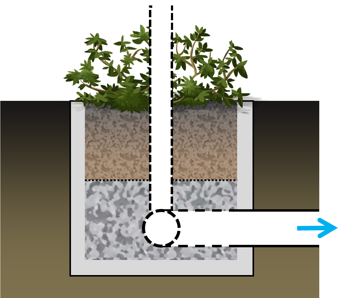 File - Planter - Tree (1185x986), Png Download