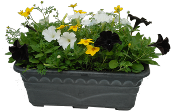 Flower Box (378x378), Png Download