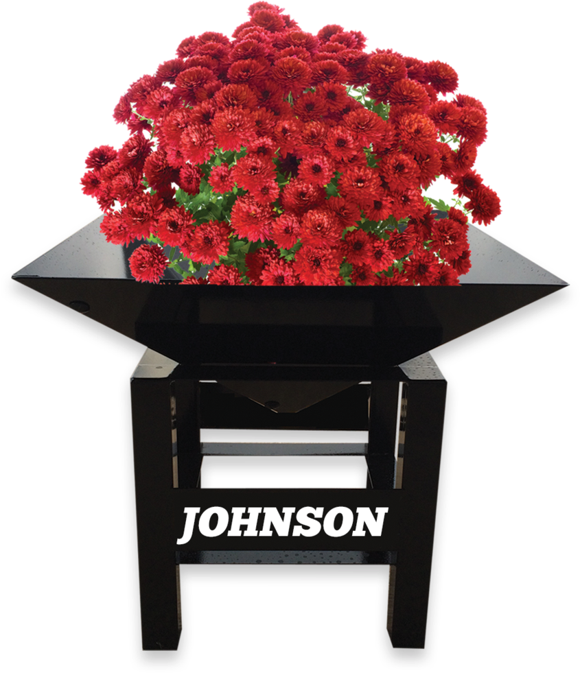 Flower Planters - Chrysanthemum (897x1024), Png Download