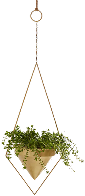 Featured image of post Hanging Plant Png Use these free hanging plants png 42649 for your personal projects or designs