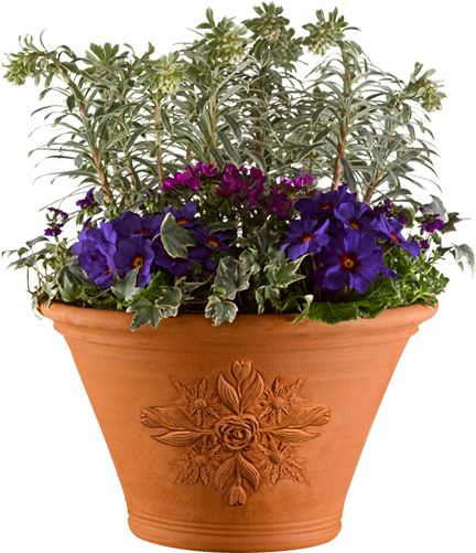 Pot With Flowers Png (500x500), Png Download