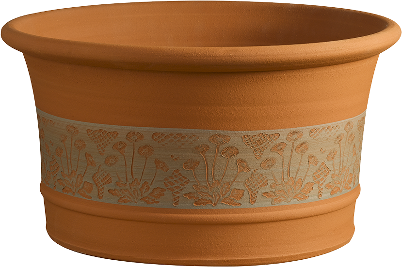 Rhs Daisy Planter - Coffee Table (960x960), Png Download