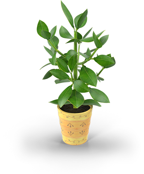 23 Pm 46086 Arbol38 Raster 8/20/2017 - Flowerpot (600x600), Png Download