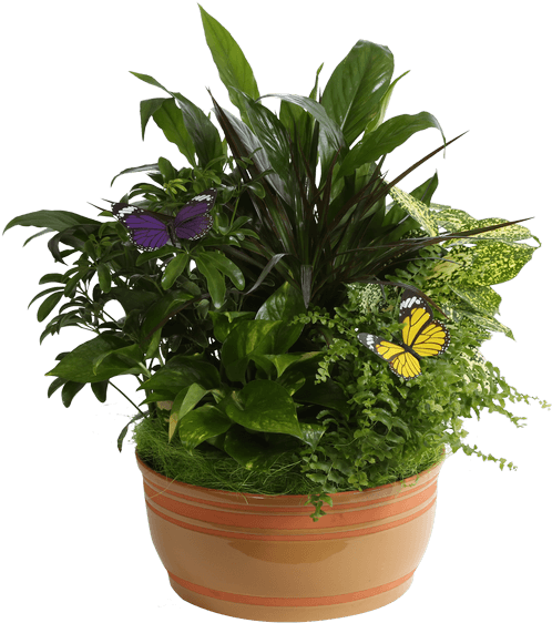 Horizon Planter, 10" Caramel - Garden (511x600), Png Download